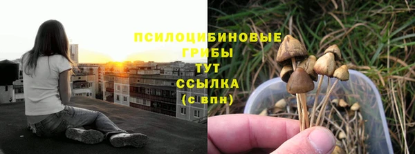 МДПВ Абаза