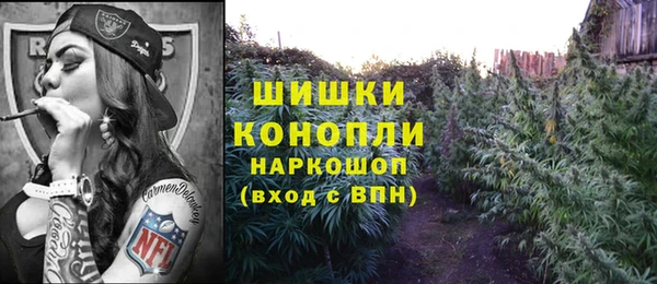 МДПВ Абаза