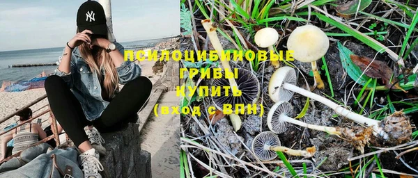 молекула духа Абдулино